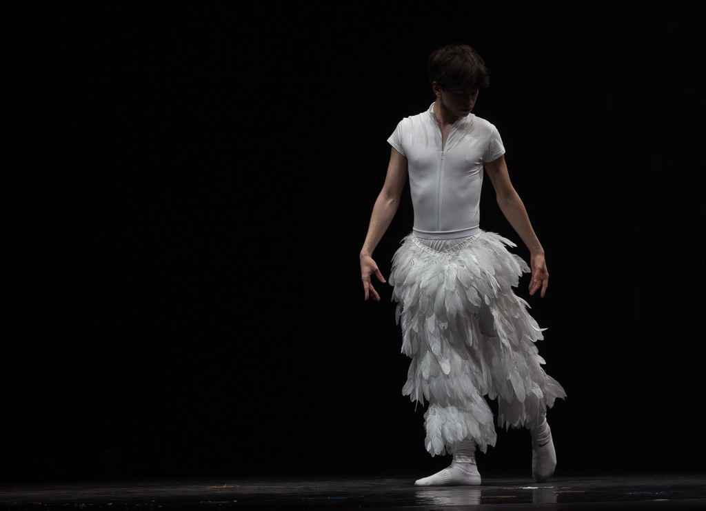 Extrait du spectacle de Danse "La Poupée de Chiffon" produit par l'association Entre-Nous au Zénith d'Amiens