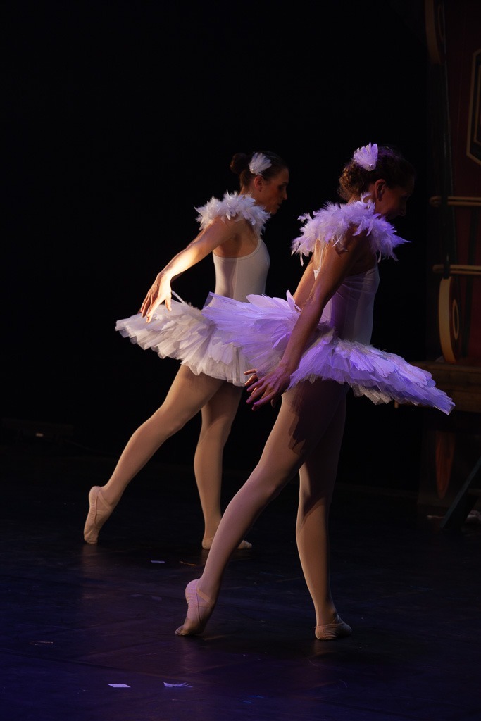 Extrait du spectacle de Danse "La Poupée de Chiffon" produit par l'association Entre-Nous au Zénith d'Amiens