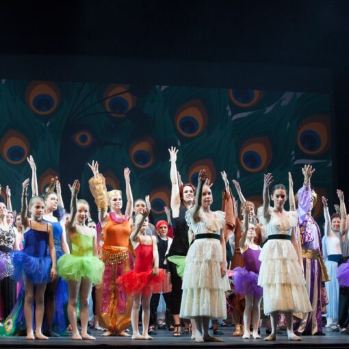 Danseurs sur scène lors du spectacle "L'ile du Paon Flamboyant" au Zénith d'Amiens, avril 2015, produit par l'association Entre-Nous