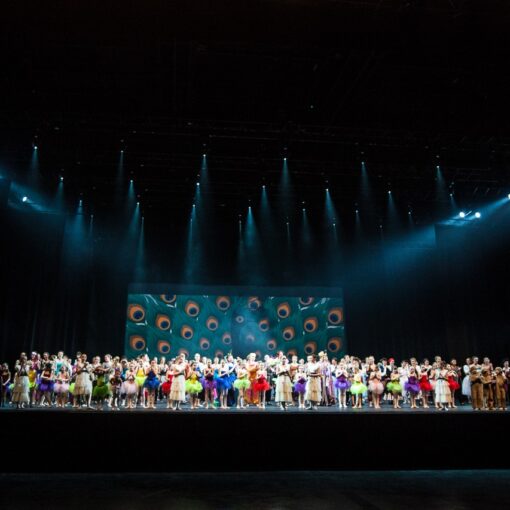 Danseurs sur scène lors du spectacle "L'ile du Paon Flamboyant" au Zénith d'Amiens, avril 2015, produit par l'association Entre-Nous