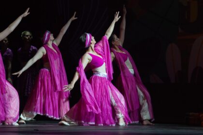 Danseurs sur scène lors du spectacle "L'ile du Paon Flamboyant" au Zénith d'Amiens, avril 2015, produit par l'association Entre-Nous